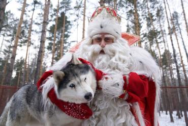 Фото Дед Мороз осуществляет мечты юных челябинцев