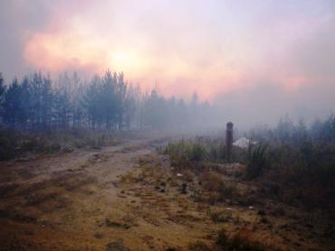 Фото Из-за лесных пожаров на трассах в Челябинской области вводятся ограничения движения