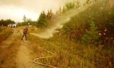 Фото В Миассе прокуратура потребовала возбудить дело о поджоге лесов 