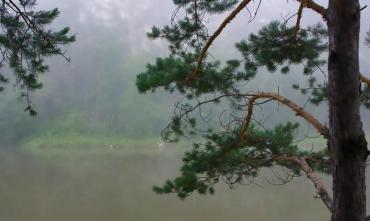 Фото В среду в Челябинской области возможны дожди и грозы