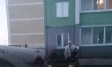 Фото В Челябинске бойцовский пес пьяной хозяйки напугал горожан, на женщину написали заявление