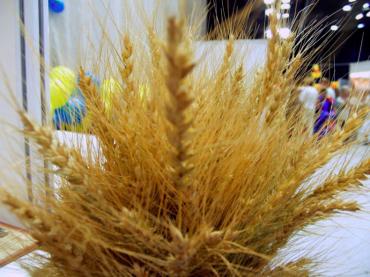 Фото Больше всего в Челябинской области подорожала пшеничная мука