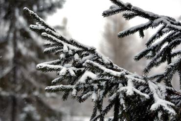 Фото Во вторник холодно, небольшой снег