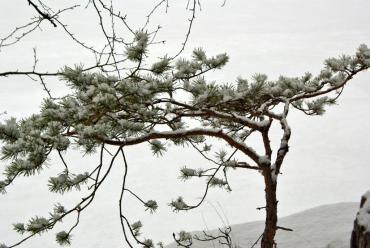 Фото Холода отступают: февраль обещает быть теплым