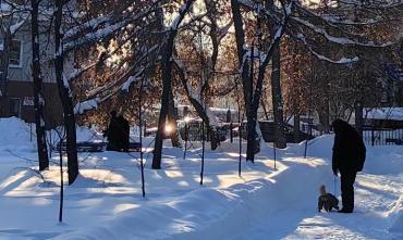 Фото В Челябинской области 16 января – без осадков, лишь на крайнем западе небольшой снег