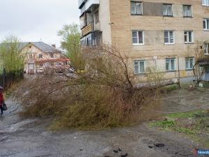 Фото В Миассе празднование Дня Победы решили перенести на июнь