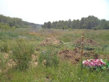 Фото В Челябинской области в водоохранной зоне реки Миасс обнаружены новые захоронения