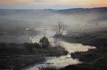 Фото Пейзажи, портреты и анималистика на выставке в «Каменном поясе»