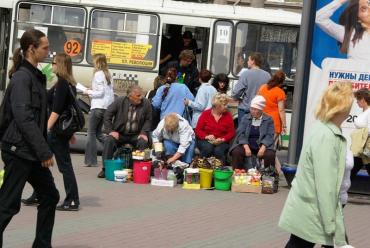 Фото В Челябинске организуют более 900 торговых мест для пенсионеров-садоводов