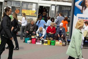 Фото Наталья Котова об уличной торговле: Мы вернулись в 20-й век