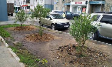 Фото Зелень вместо фруктов: в Челябинске взамен снесенных киосков-нелегалов высаживают деревья