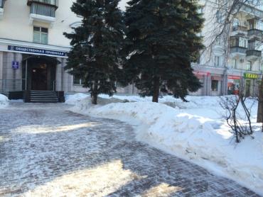 Фото Владимир Елистратов призвал коллег разобраться со снегом к 8 Марта