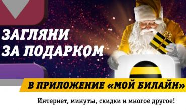 Фото Новогодние подарки в «Мой Билайн»: интернет, минуты, скидки и многое другое