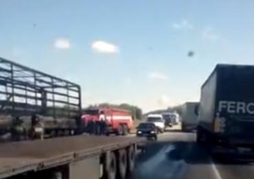 Фото На трассе возле села Миасского сгорел большегруз