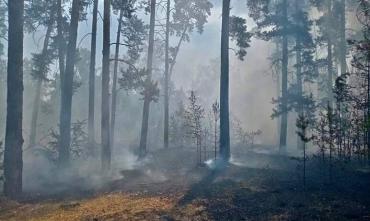 Фото В Варненском районе в результате ландшафтного пожара пострадали жилые дома