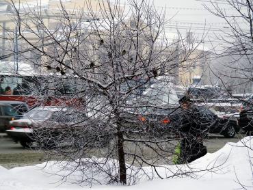 Фото В пятницу в Челябинской области без осадков, южный ветер