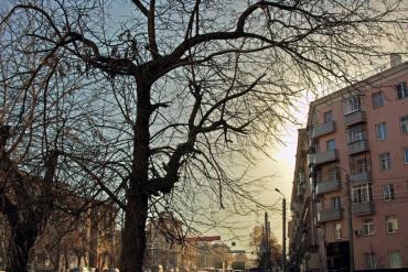 Фото В Челябинской области дождливо и ветрено