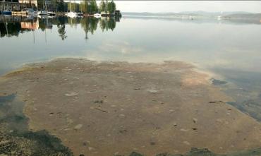 Фото В минэкологии объяснили причину загрязнения водоемов в Челябинской области