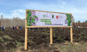 Фото В Саду памяти Челябинской области высадили почти 800 тысяч деревьев