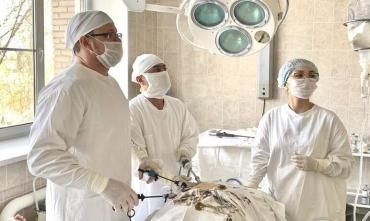 Фото В Магнитогорске хирурги оперируют грыжи новейшим способом