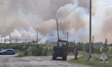 Фото В МЧС назвали предварительную причину крупного пожара вблизи поселка Вязовая