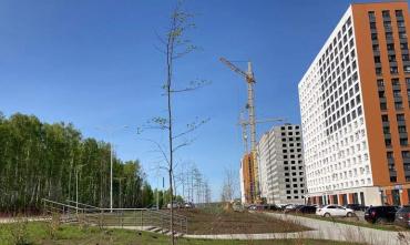 Фото Челябинские власти пояснили ситуацию с озеленением улицы Академика Макеева