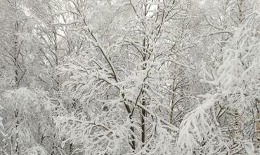 Фото Челябинская область – во власти снежного циклона