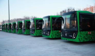 Фото Челябинская область закупила 131 автобус на средства специального казначейского кредита