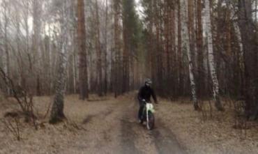Фото В Миассе разыскивают поджигателя леса