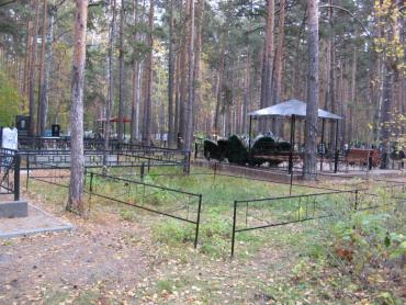 Фото Ряды жителей Челябинской области продолжают редеть 