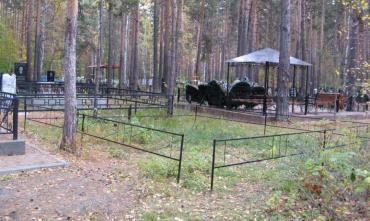 Фото В Челябинской области снижаются показатели младенческой смертности