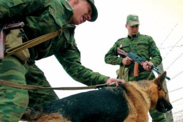 Фото Отличники погранслужбы: кинолог и немецкая овчарка Ресси  задержали нарушителя границы