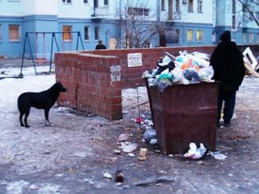 Фото В мусорных контейнерах в Челябинске нашли мужские ноги, руки и половой орган