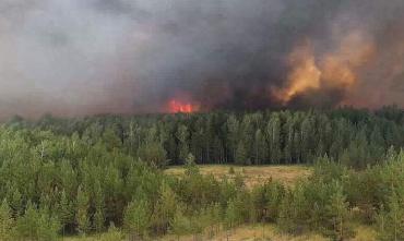 Фото Челябинским главам даны рекомендации в связи с высоким риском возникновения лесных пожаров