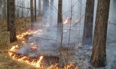Фото В 22 муниципалитетах Челябинской области установлен третий класс пожарной опасности