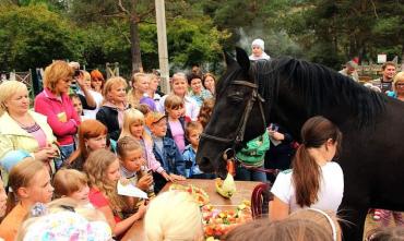 Фото Челябинские конники отпразднуют День Флора и Лавра