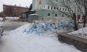 Фото В Челябинске со снежными кучами решили бороться с помощью Навального