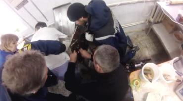 Фото В Челябинске руку сотрудницы пекарни зажало в тестораскаточной машине