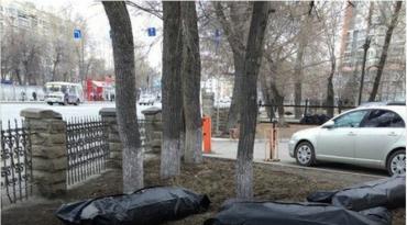 Фото Тефтелев: «ГорЭкоЦентр» после лишения лицензии займется вывозом невостребованных трупов
