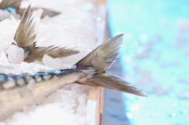Фото Карабаш станет крупнейшим производителем и поставщиком рыбы