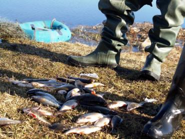 Фото В Кыштыме браконьеру грозит срок за ловлю сетями во время нереста