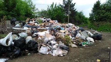 Фото Челябинские садоводы опасаются погрязнуть в горах мусора