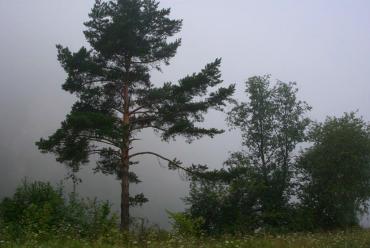 Фото В выходные на Южном Урале будет тепло и дождливо
