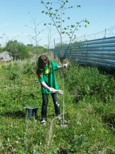Фото В Озерске работающие подростки получат более пяти миллионов рублей