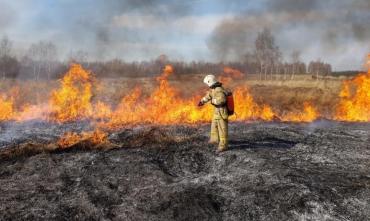 Фото В Челябинской области открыт сезон горящей травы