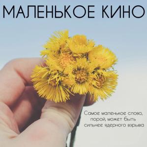 Фото Челябинские школьники снимут «Маленькое кино»