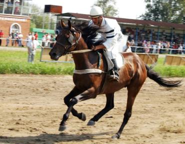 Фото Челябинский «Рифей» принимает первенство по конному спорту
