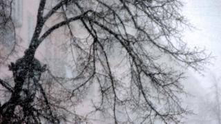 Фото Предупреждение о непогоде в Челябинской области продлено на субботу