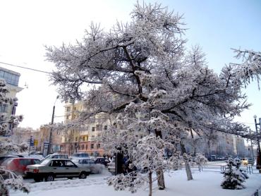 Фото В Челябинской области установилась влажно-ветреная погода