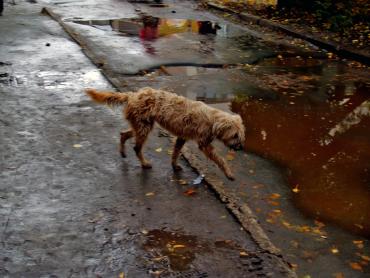 Фото В Челябинской области холод, ожидается потепление